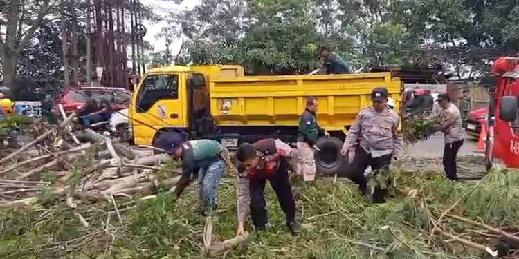 Polsek Baleendah Gerak Cepat Evakuasi Pohon Tumbang Akibat Puting Beliung