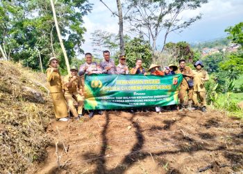 Polsek Cikoneng Dampingi Petani Ciamis Tanam Jagung, Wujudkan Ketahanan Pangan Desa