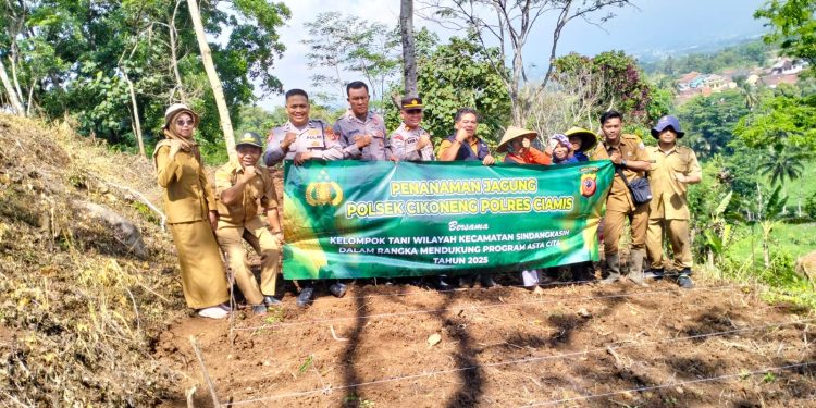 Polsek Cikoneng Dampingi Petani Ciamis Tanam Jagung, Wujudkan Ketahanan Pangan Desa