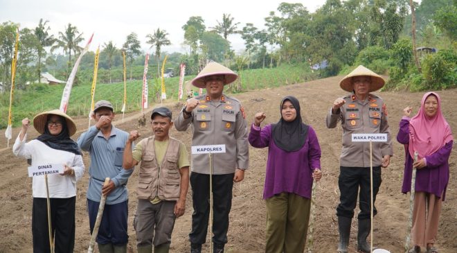 Polri Bersama Petani Tasikmalaya Sukseskan Program Ketahanan Pangan Nasional Melalui Penanaman Jagung Serentak