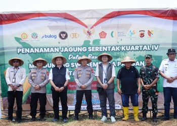 Polresta Bandung Optimalkan Lahan, Sukses Gelar Penanaman Jagung Serentak untuk Ketahanan Pangan