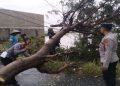 Respon Cepat Polresta Bandung Tangani Pohon Tumbang di Jalan Gorodog