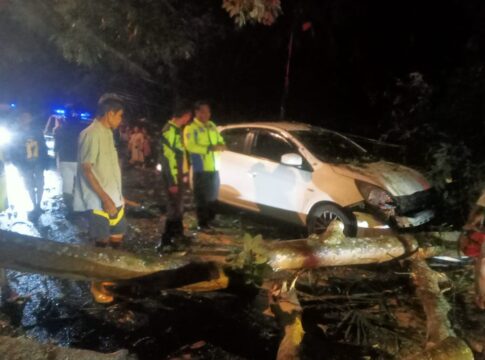 Pohon Tumbang Timpa Mobil di Banjar Akibat Cuaca Ekstrem, Polisi Sigap Evakuasi