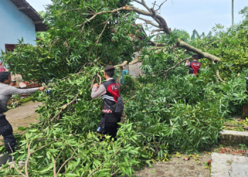 Polsek Klangenan dan TNI Sinergi Tanggulangi Dampak Puting Beliung di Cirebon, Gelar Pengobatan Gratis dan Kerja Bakti