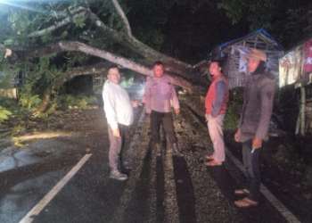Polsek Banyuresmi Evakuasi Pohon Tumbang di Depan Situ Bagendit, Arus Lalu Lintas Kembali Normal