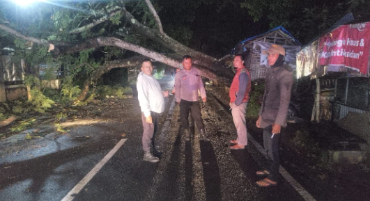 Polsek Banyuresmi Evakuasi Pohon Tumbang di Depan Situ Bagendit, Arus Lalu Lintas Kembali Normal