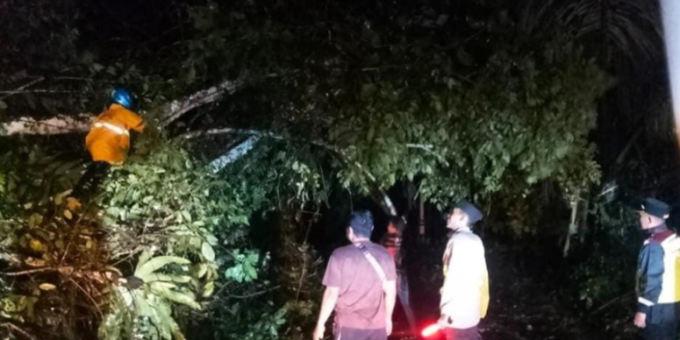 Hujan Deras Picu Longsor di Jalan Raya Bungbulang-Caringin, Polsek Caringin Sigap Tangani dan Atur Lalu Lintas