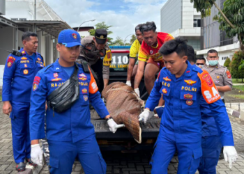 Satgas Ditpolairud Evakuasi Korban Meninggal Laka Laut di Pantai Pangandaran