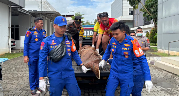 Satgas Ditpolairud Evakuasi Korban Meninggal Laka Laut di Pantai Pangandaran