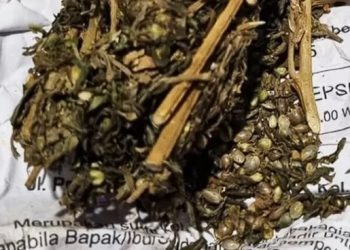 Kurir Narkoba Diringkus Polres Sukabumi Kota, 13 Butir Ekstasi dan Ganja Disita