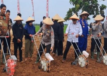 Dukung Asta Cita Presiden Prabowo, Kabaharkam Polri Pimpin Penanaman Jagung di Indramayu