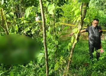 Temuan Jasad Misterius di Plered, Polsek Plered Purwakarta Bergerak Cepat Lakukan Identifikasi