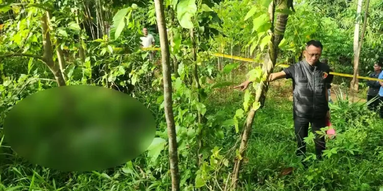 Temuan Jasad Misterius di Plered, Polsek Plered Purwakarta Bergerak Cepat Lakukan Identifikasi