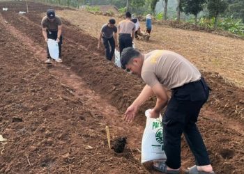 Dukung Ketahanan Pangan, Polda Jabar Siap Tanam Jagung dan Ubi di Lahan 752 Hektare