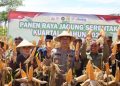 Polres Ciamis Aktif Dukung Ketahanan Pangan Nasional Melalui Panen Raya Jagung Serentak
