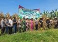 Polres Banjar dan Pemkot Banjar Sukses Gelar Panen Raya Jagung Kuartal IV, Dukung Ketahanan Pangan Nasional