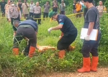 Polres Subang Olah TKP Penemuan Mayat Pria dengan Luka Sayatan di Perkebunan Cipeundeuy
