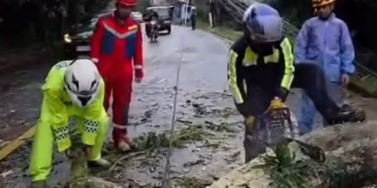 Respon Cepat TNI-Polri dan Tim Gabungan Evakuasi Pohon Tumbang di Jalur Puncak-Cipanas