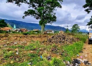 Polisi Limpahkan Kasus Perusakan Pohon Teh Pangalengan ke Kejaksaan